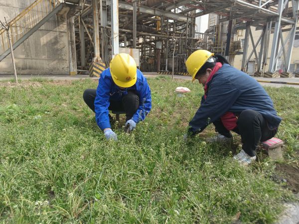 3月22日，行政保衛(wèi)部馬師傅和孫師傅在道路兩旁清除雜草。.jpg