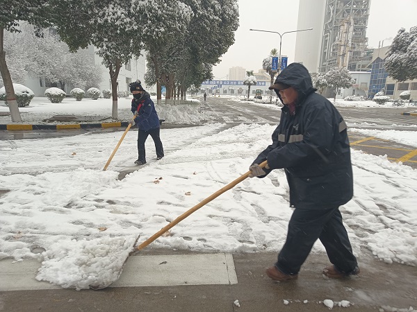 2024年1月15日，行政保衛(wèi)部組織人員在各主干道、人行道進行掃雪.jpg