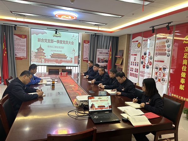 聯(lián)合黨支部召開黨員大會傳達學(xué)習(xí)全國兩會精神.jpg