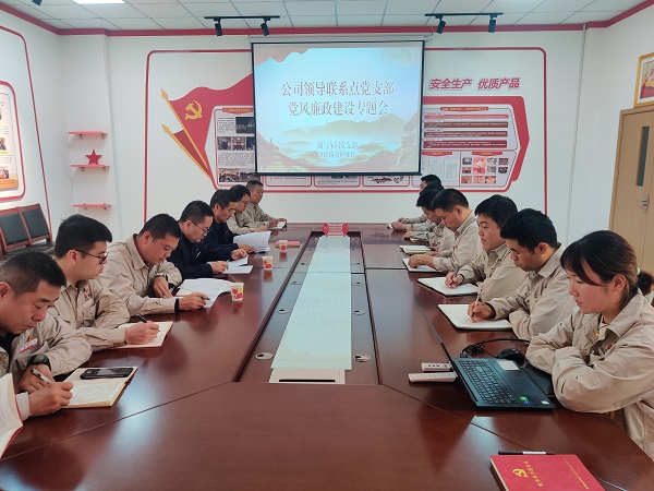 10月16日，公司副總經(jīng)理張安平受邀參加制氣車間黨支部黨風廉政建設工作專題會.jpg
