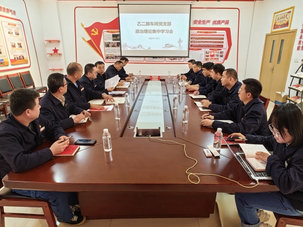 2024年10月17日，公司副總經(jīng)理張安平深入黨建聯(lián)系點(diǎn)旁聽(tīng)督導(dǎo)政治理論集中學(xué)習(xí)會(huì).jpg