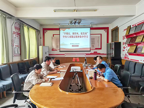 4月11日，渭河塑業(yè)公司全體黨員集中學(xué)習(xí)中央八項(xiàng)規(guī)定精神.jpg