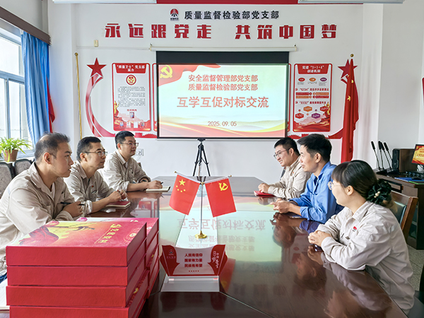 9.5日，安全監(jiān)督管理部黨支部與質(zhì)量監(jiān)督檢驗(yàn)部黨支部對標(biāo)交流學(xué)習(xí).jpg